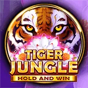 Cá cược thể thao 8sbet
