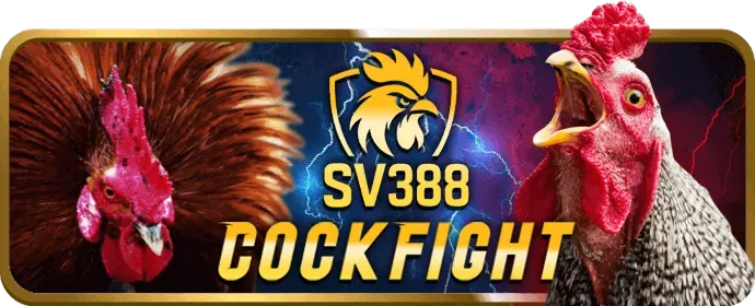 Hoàn trả thể thao hàng tuần 8sbet
