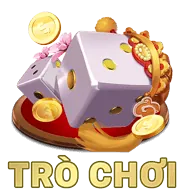 Tránh đặt cược theo cảm tính